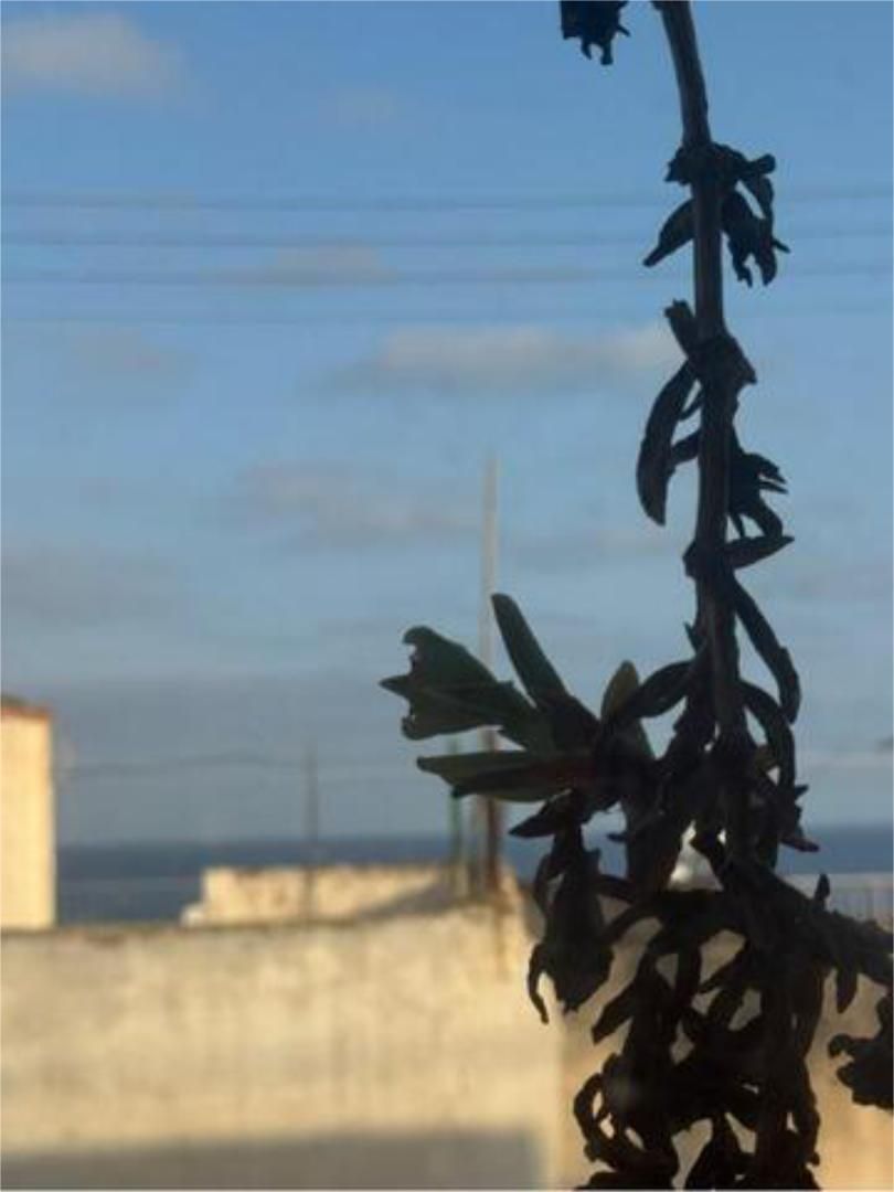 Exterior view of Flat for sale in Villajoyosa / La Vila Joiosa  with Terrace and Furnished
