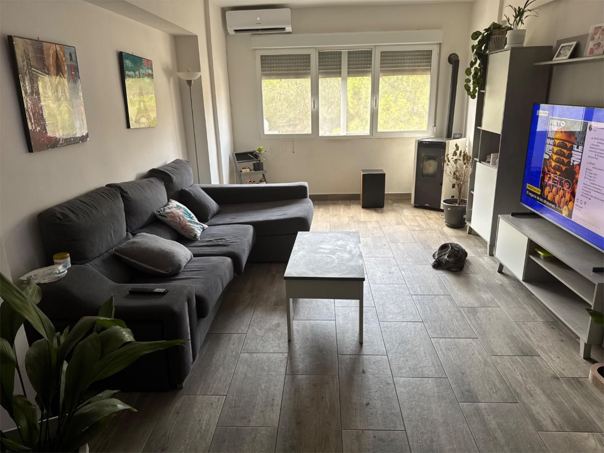Living room of Flat for sale in El Pinós / Pinoso  with Air Conditioner, Heating and Furnished