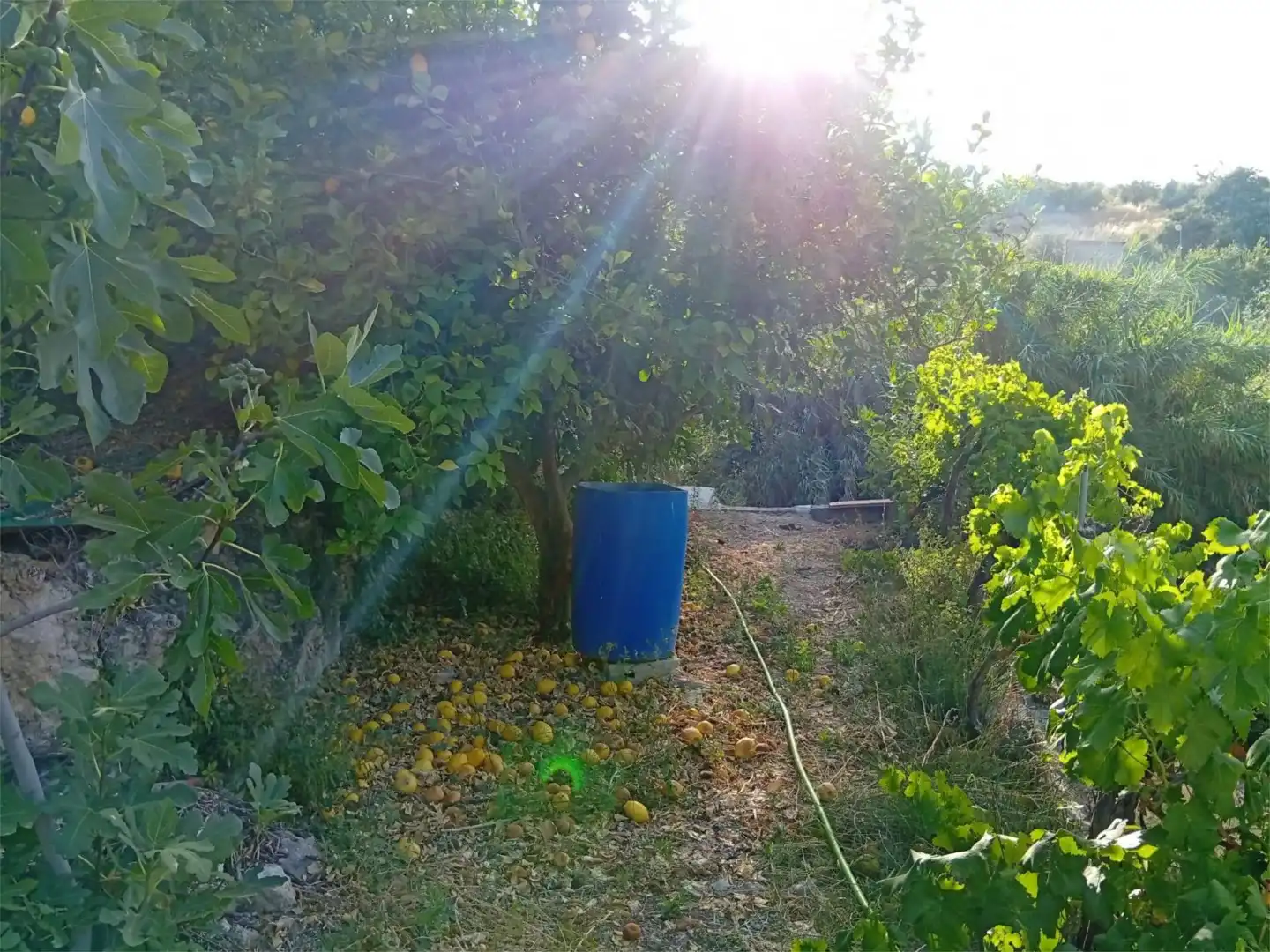 Flat for sale in Calle el Prado, 1, Moclín Flat for sale in Moclín with Private garden, Terrace and Storage room