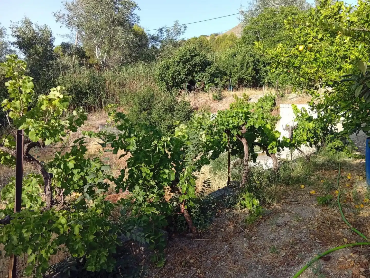 Flat for sale in Calle el Prado, 1, Moclín Flat for sale in Moclín with Private garden, Terrace and Storage room