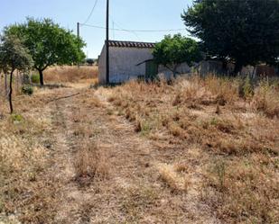 Non-constructible Land for sale in Sonseca