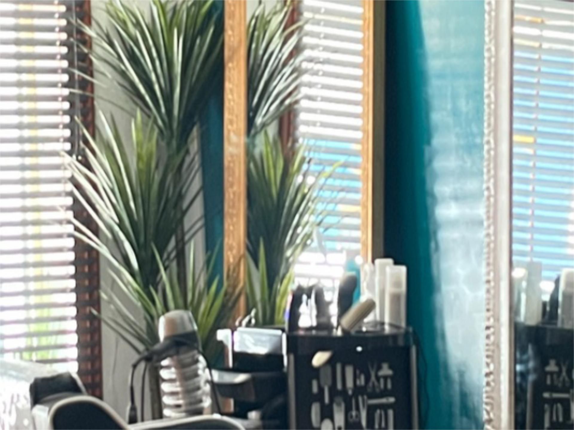 Locales en traspaso en Benalúa, Alicante Alacant fotocasa