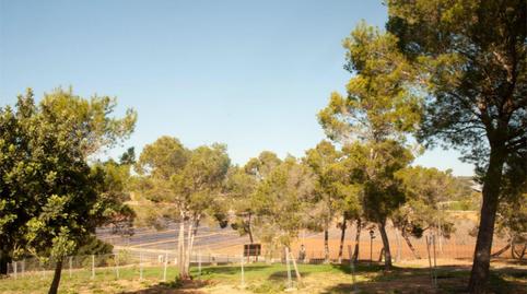 Country house for sale in Diseminado 8725- Sa Casa Blanca, 363, Sa Casa Blanca, Illes Balears - image 5 Photo 5 of Country house for sale in Diseminado 8725- Sa Casa Blanca, 363, Sa Casa Blanca, Illes Balears