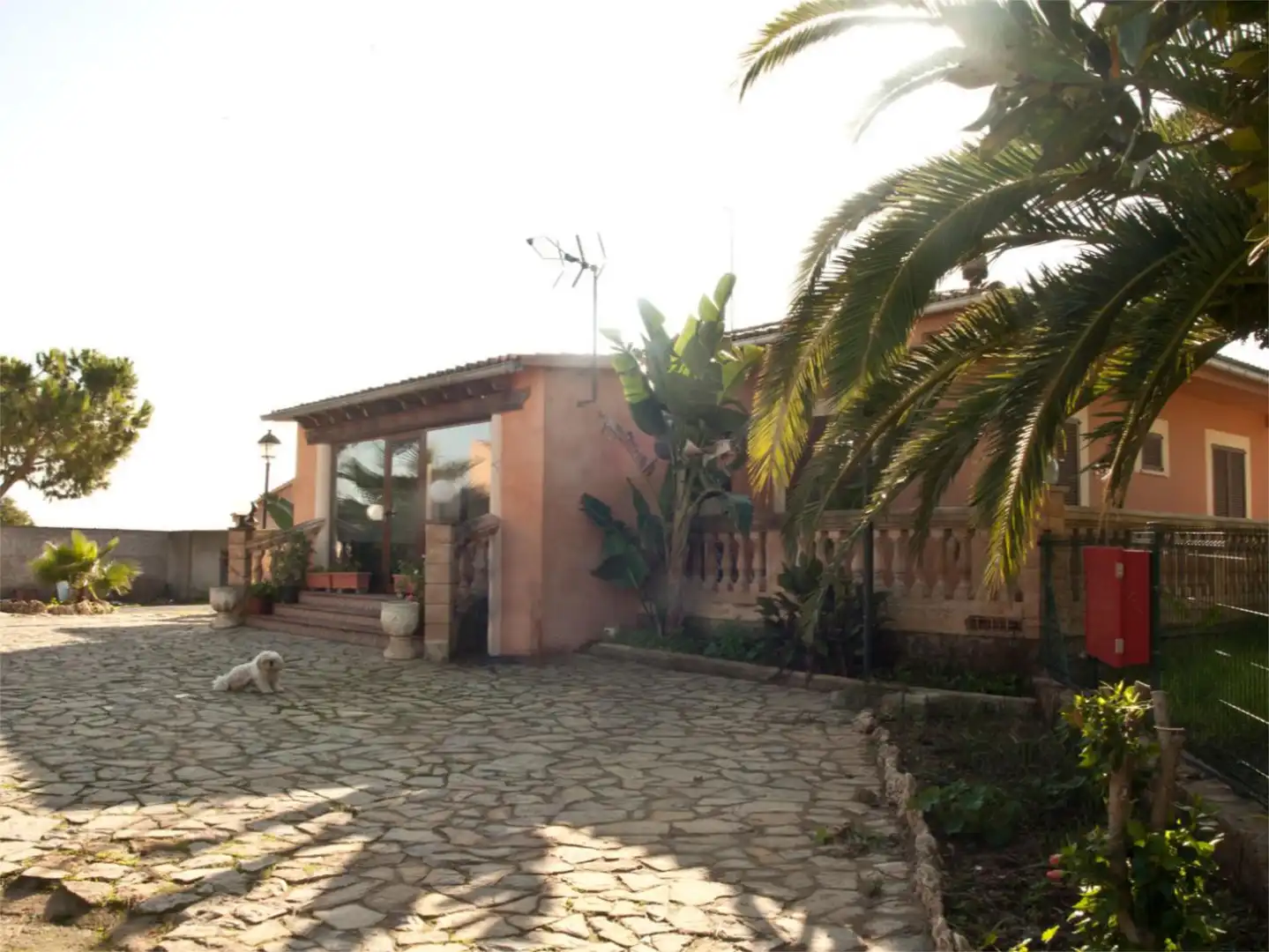Finca rústica en venta en Diseminado 8725- Sa Casa Blanca, 363, Sa Casa Blanca Vista exterior de Finca rústica en venta en Palma de Mallorca con Aire acondicionado, Terraza y Piscina