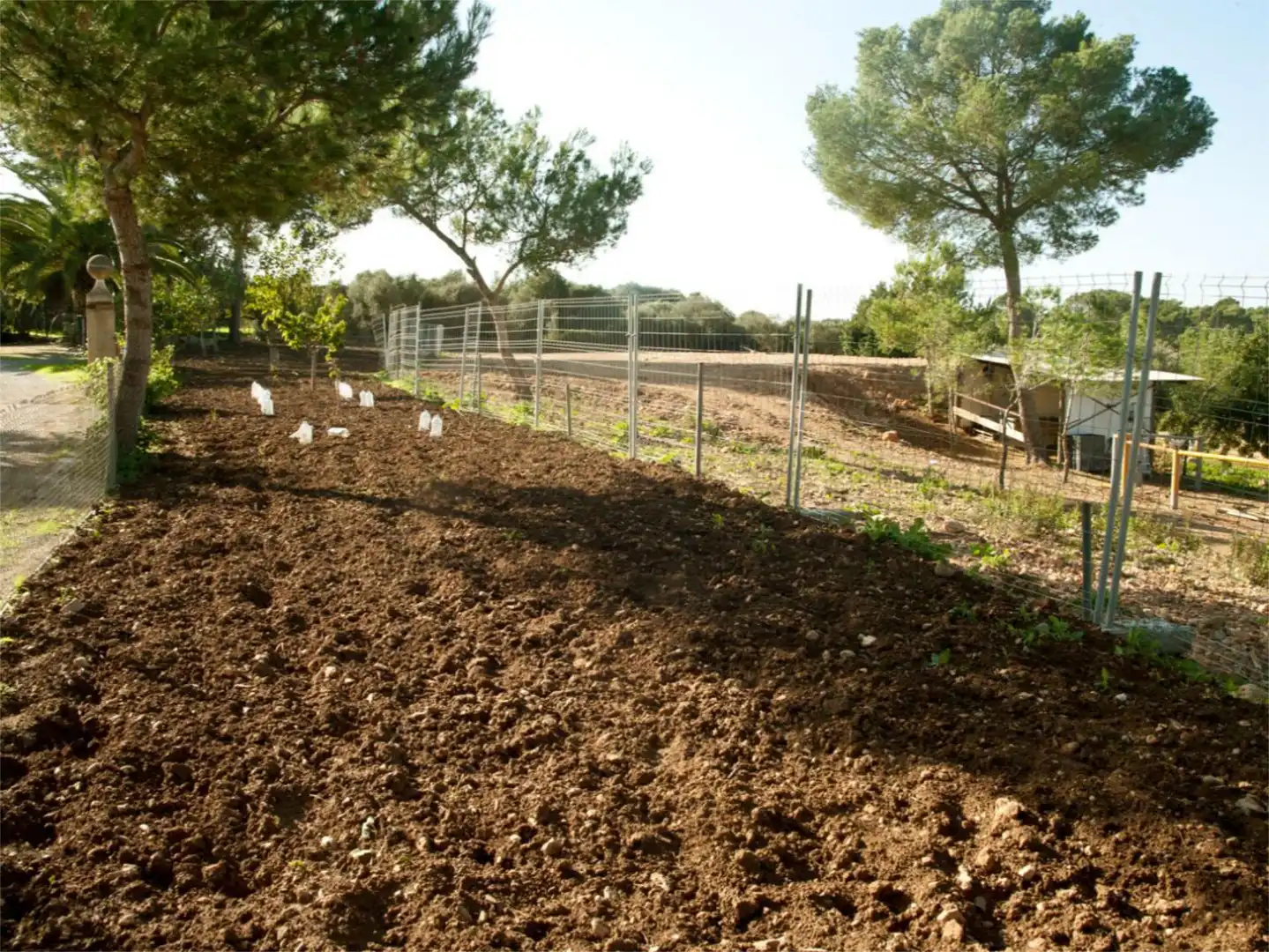 Finca rústica en venta en Diseminado 8725- Sa Casa Blanca, 363, Sa Casa Blanca Jardín de Finca rústica en venta en Palma de Mallorca con Aire acondicionado, Terraza y Piscina