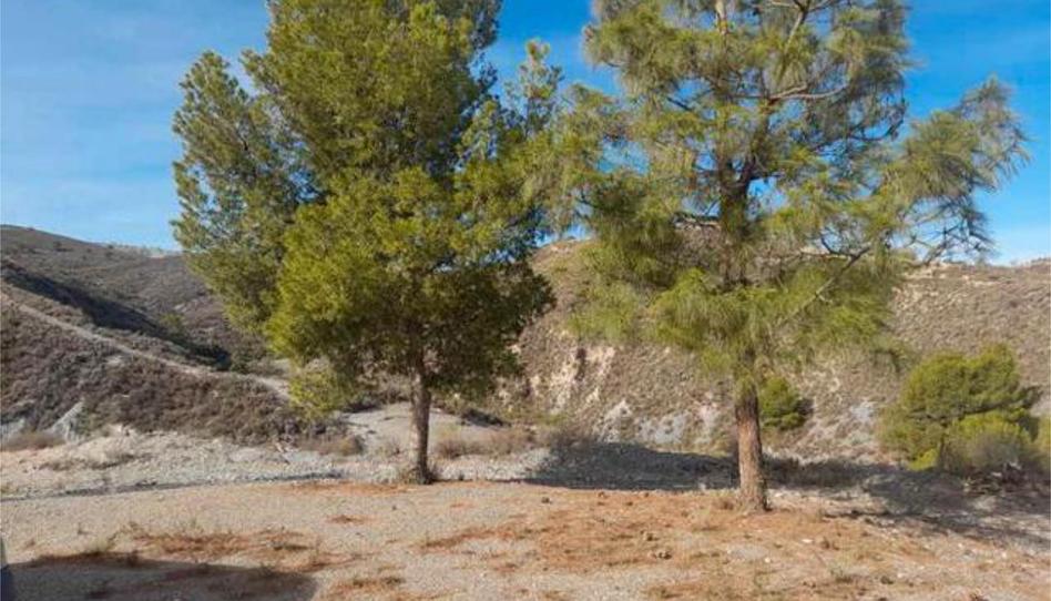 House or chalet for sale in Almendricos, Murcia - image 1 Photo 1 of House or chalet for sale in Almendricos, Murcia