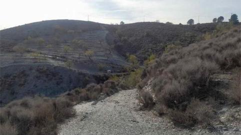 House or chalet for sale in Almendricos, Murcia - image 4 Photo 4 of House or chalet for sale in Almendricos, Murcia