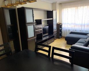 Living room of Flat to rent in  Madrid Capital  with Air Conditioner, Heating and Private garden