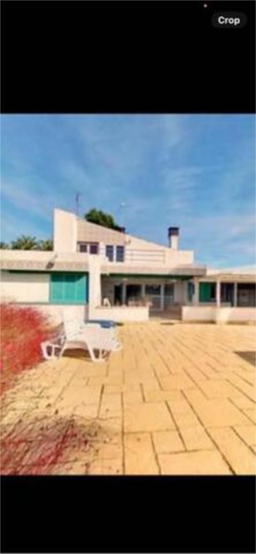 Vista exterior de Casa o xalet en venda en Elche / Elx amb Calefacció, Jardí privat i Terrassa