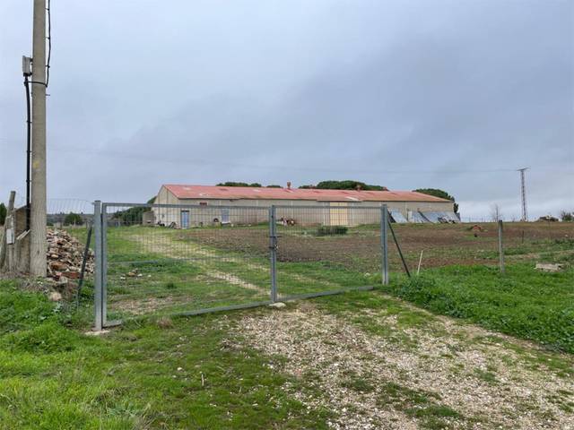 Finca rústica en Venta en Diseminado Diseminados, 81 en Olmedillo de Roa