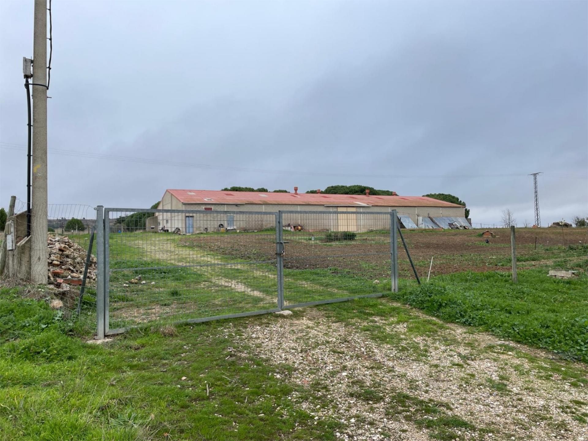 Finca rústica en venda en Olmedillo de Roa
