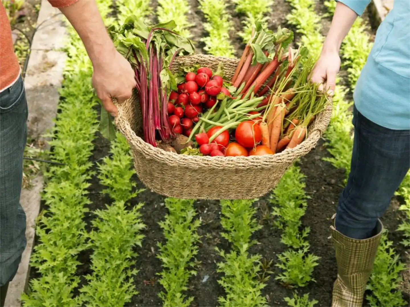 Garten von Grundstücke zur Miete in Jerez de la Frontera