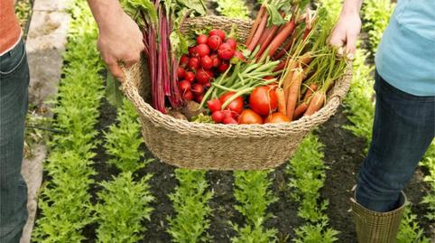 Foto 2 von Grundstücke zur Miete in Calle Tinto, 4, El Rocío - La Milagrosa, Jerez de la Frontera