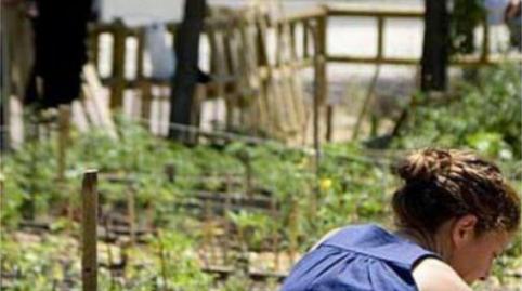 Foto 3 von Grundstücke zur Miete in Calle Tinto, 4, El Rocío - La Milagrosa, Jerez de la Frontera