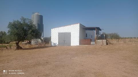 House or chalet for sale in Calle Doctor Fleming, 2, Villar del Rey, Badajoz - image 5 Photo 5 of House or chalet for sale in Calle Doctor Fleming, 2, Villar del Rey, Badajoz