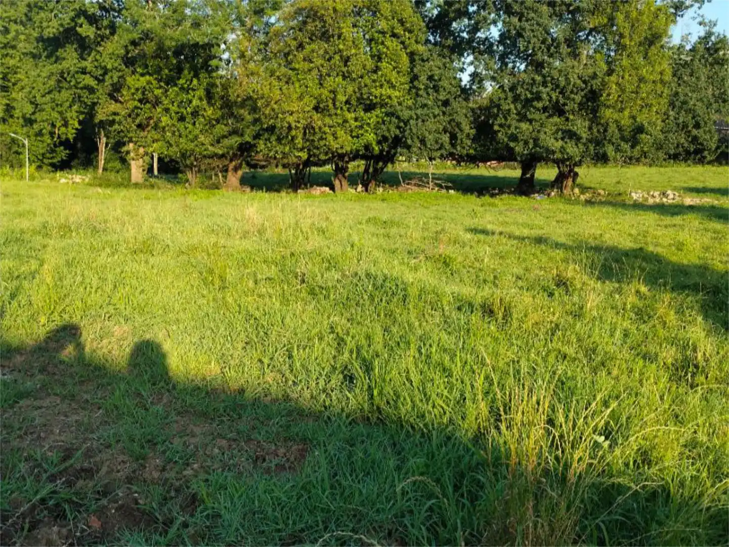 Constructible Land for sale in Avenida Alisas, 9, Riotuerto Constructible Land for sale in Riotuerto