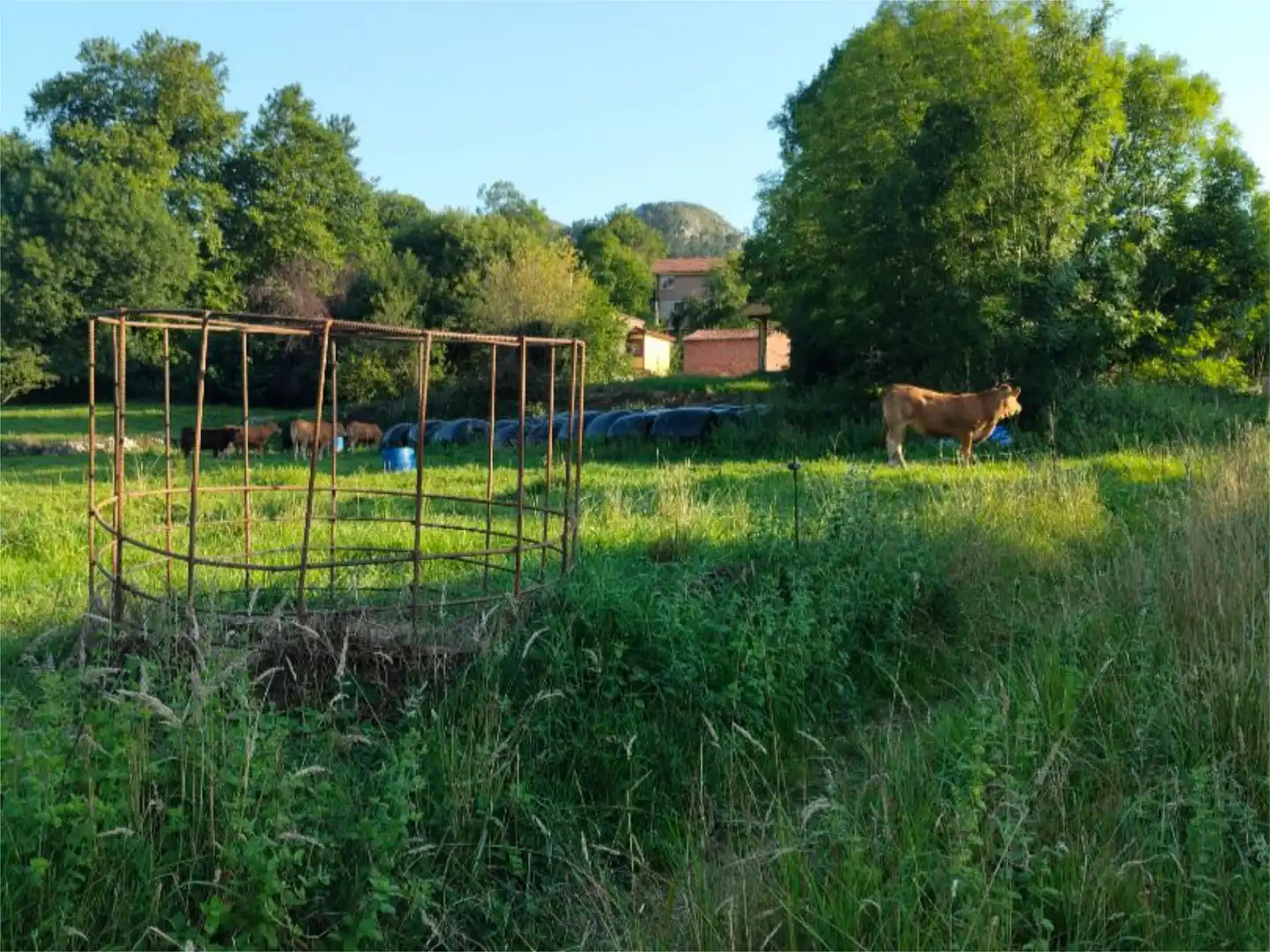 Constructible Land for sale in Avenida Alisas, 9, Riotuerto Constructible Land for sale in Riotuerto