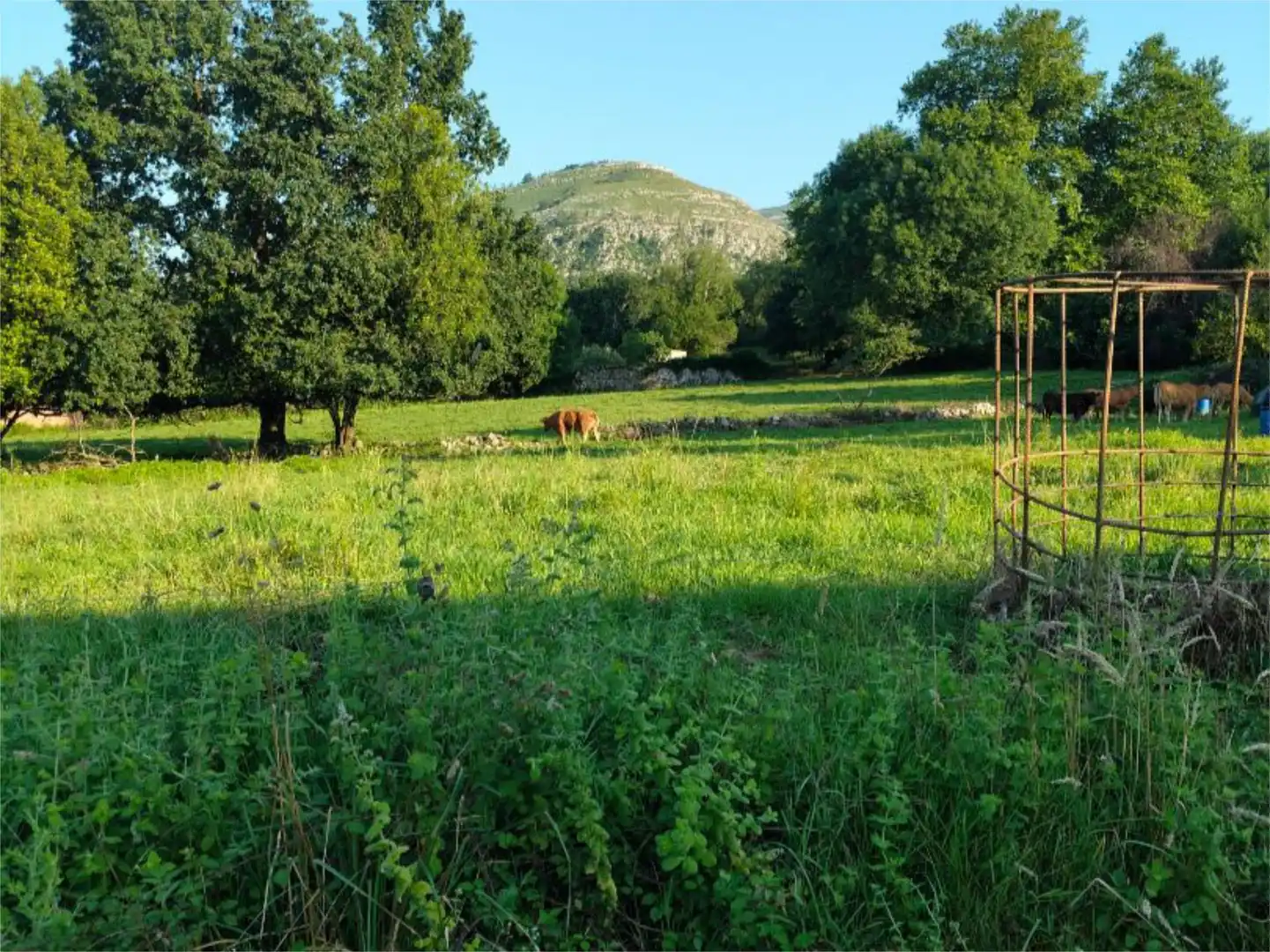 Constructible Land for sale in Avenida Alisas, 9, Riotuerto Constructible Land for sale in Riotuerto