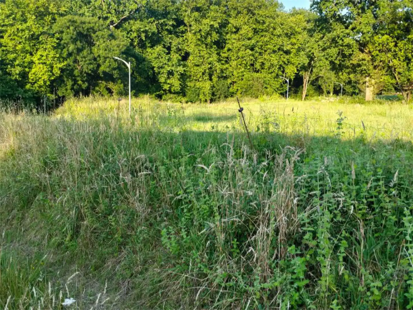 Constructible Land for sale in Avenida Alisas, 9, Riotuerto Constructible Land for sale in Riotuerto