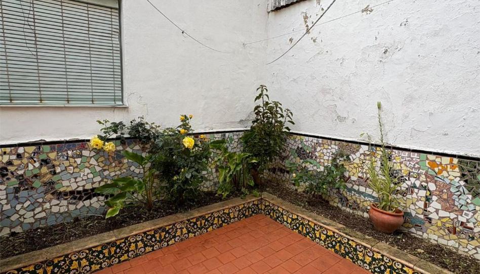 Foto 1 de Casa adosada en venda a Plaza Alcalde Antonio Canales, 1, Casco Antiguo, Cáceres