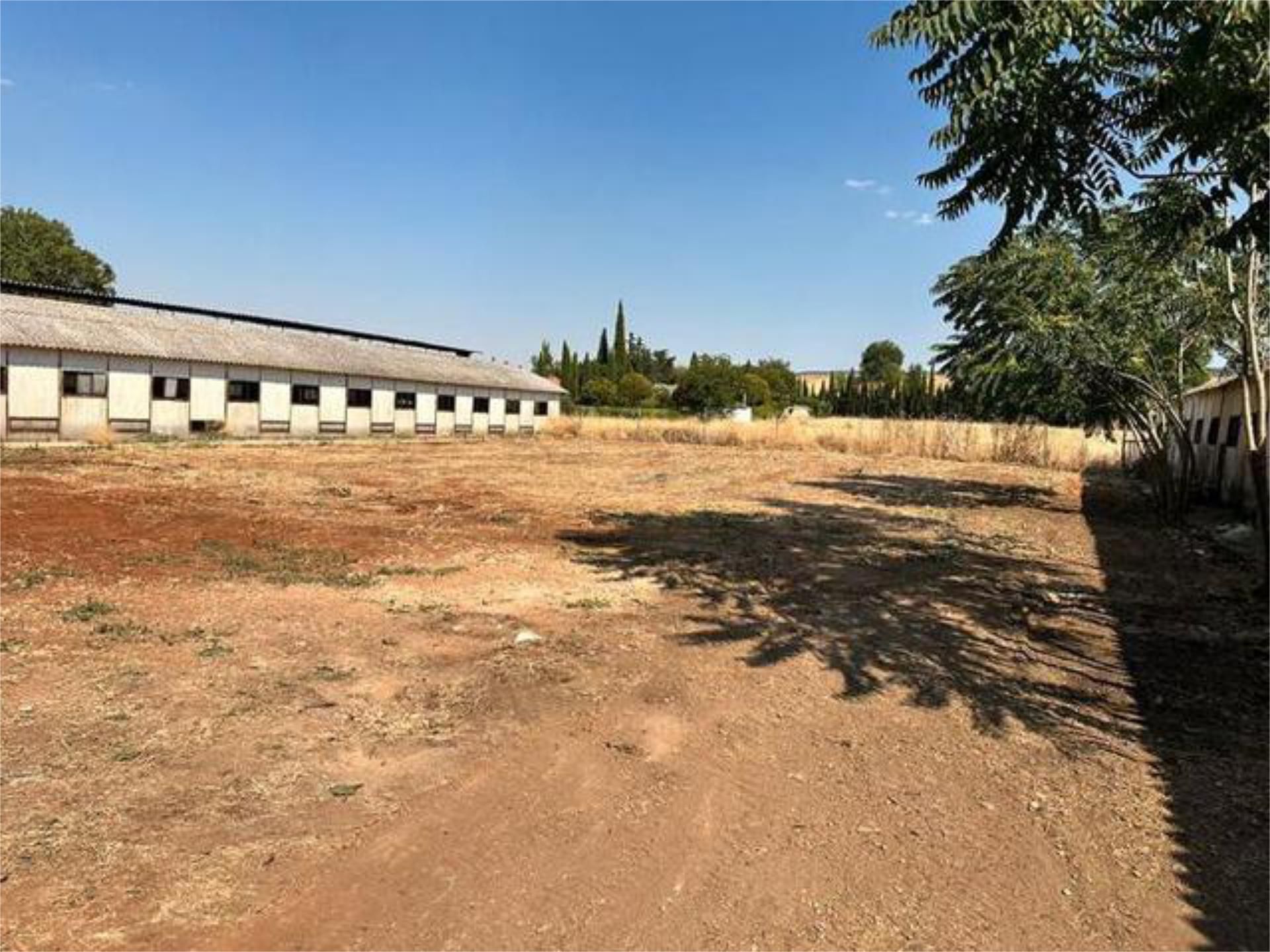 Nau industrial de lloguer en Ciudad Real Capital