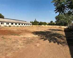 Industrial buildings to rent in Ciudad Real Capital