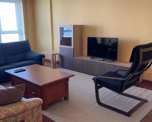 Living room of Flat to share in A Coruña Capital   with Heating, Parquet flooring and Furnished