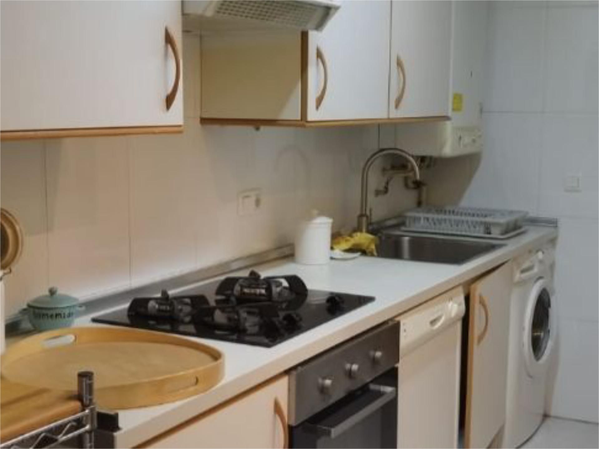 Cuina de Pis de lloguer en Donostia - San Sebastián  amb Jardí privat i Moblat