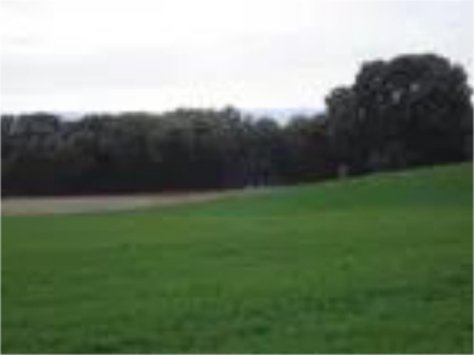 Non-constructible Land for sale in Marchamalo