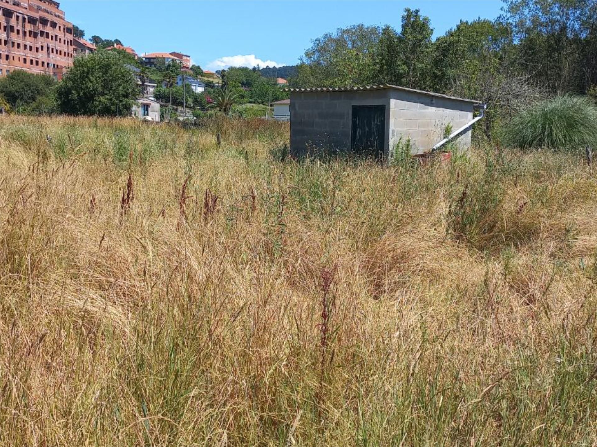 Non-constructible Land to rent in Betanzos