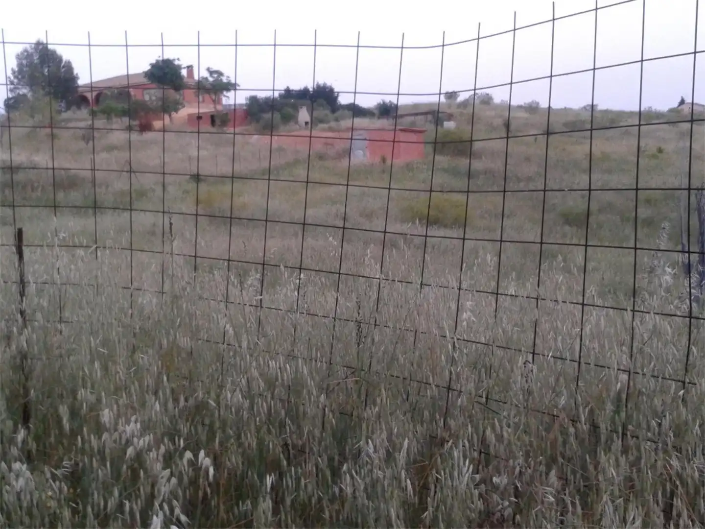 Constructible Land for sale in Calle San Adrián, 46, Albarreal de Tajo Constructible Land for sale in Albarreal de Tajo