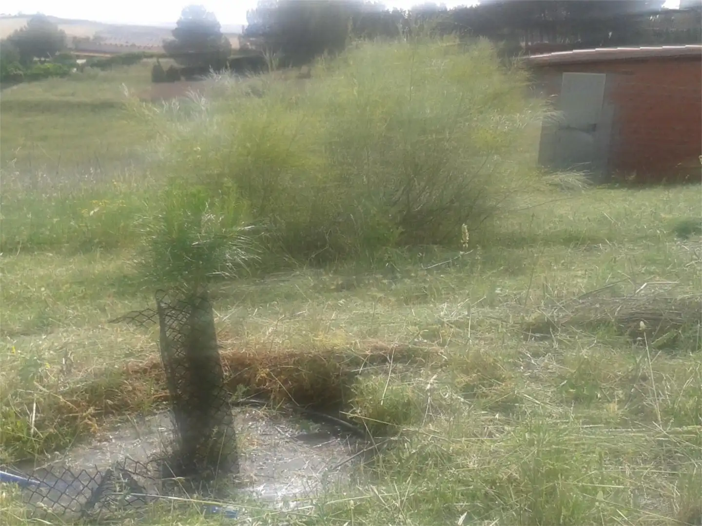 Constructible Land for sale in Calle San Adrián, 46, Albarreal de Tajo Constructible Land for sale in Albarreal de Tajo