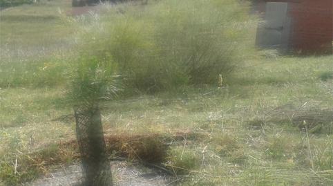 Urbanitzable en venda a Calle San Adrián, 46, Albarreal de Tajo, Toledo - imatge 4 Foto 4 de Urbanitzable en venda a Calle San Adrián, 46, Albarreal de Tajo, Toledo