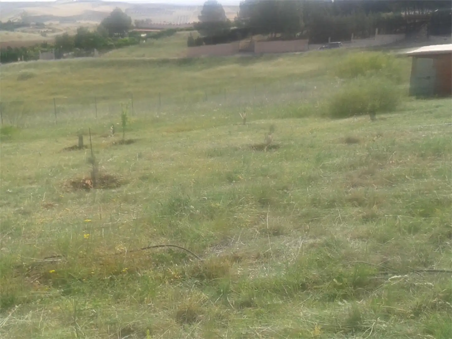 Constructible Land for sale in Calle San Adrián, 46, Albarreal de Tajo Constructible Land for sale in Albarreal de Tajo