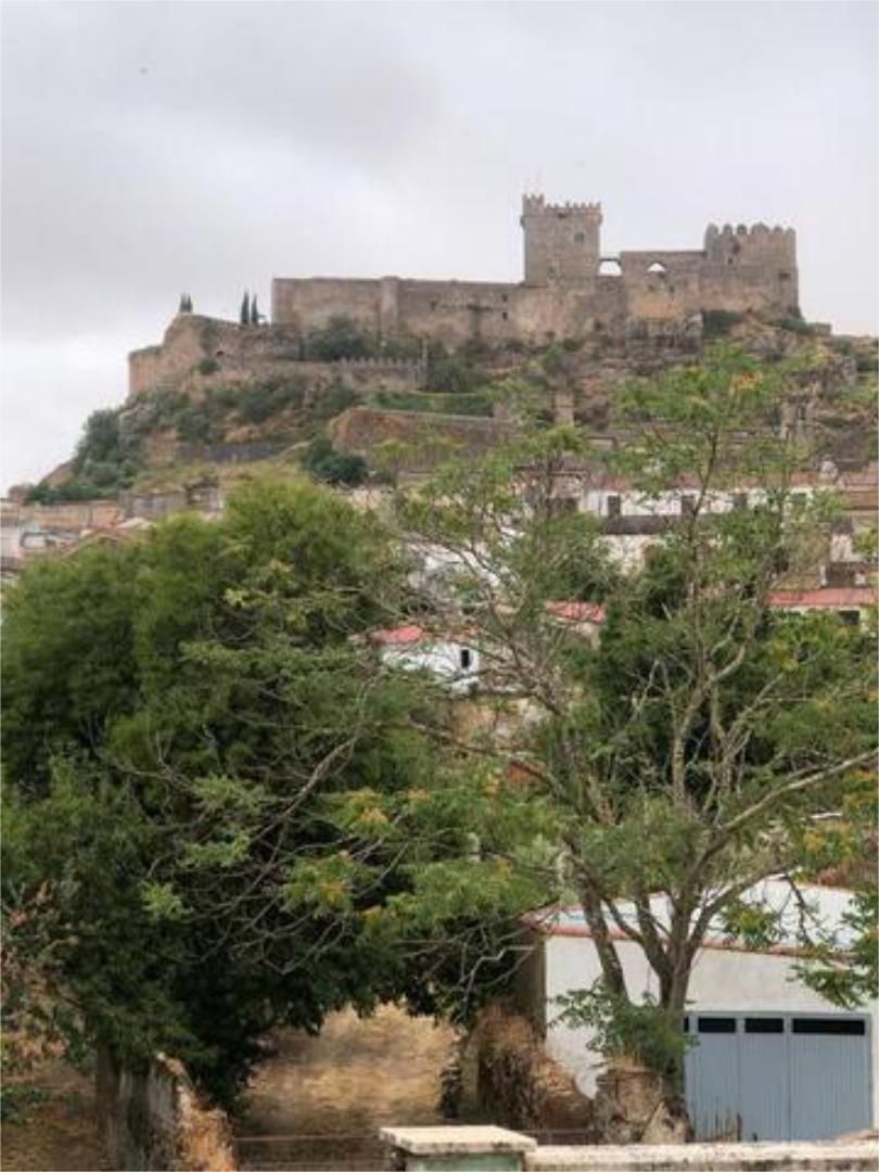 Exterior view of Flat to rent in Alburquerque  with Terrace