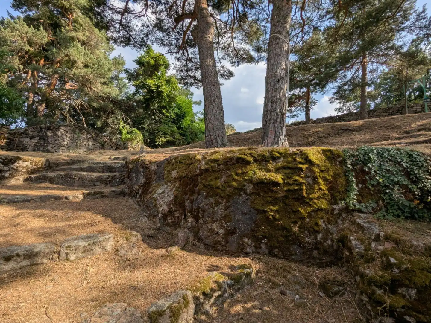 Casa o xalet en venda a Carretera Coruña, 40, San Rafael Jardí de Casa o xalet en venda en El Espinar amb Balcó