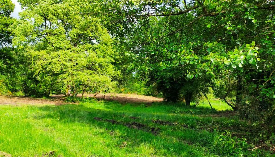 Urbanitzable en venda a Muxa, 23, Parroquias del Este, Lugo - imatge 1 Foto 1 de Urbanitzable en venda a Muxa, 23, Parroquias del Este, Lugo