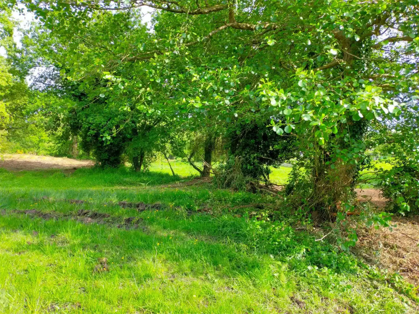 Constructible Land for sale in Muxa, 23, Parroquias del Este Constructible Land for sale in Lugo
