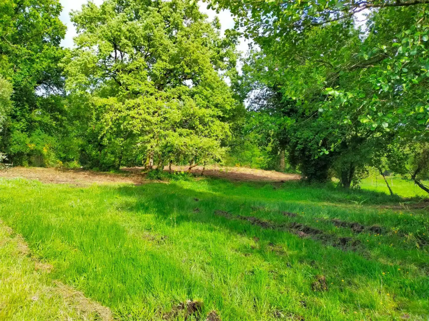 Constructible Land for sale in Muxa, 23, Parroquias del Este Constructible Land for sale in Lugo