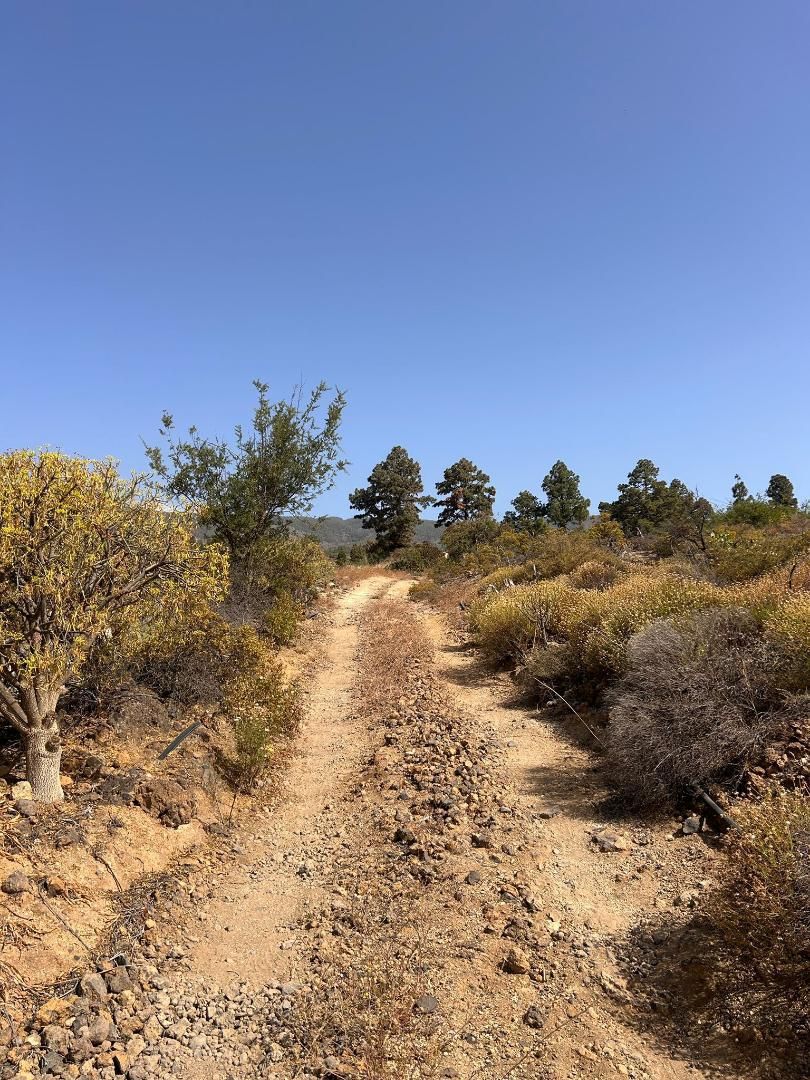 Non-constructible Land for sale in Arico
