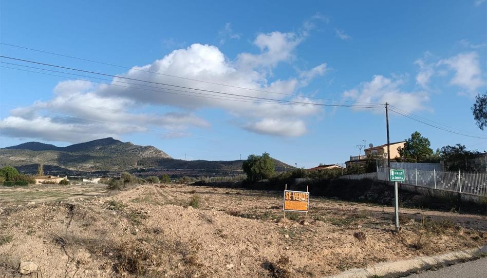 Non-constructible Land for sale in Partida Hondo, 19, Hondón de los Frailes, Alicante - image 1 Photo 1 of Non-constructible Land for sale in Partida Hondo, 19, Hondón de los Frailes, Alicante
