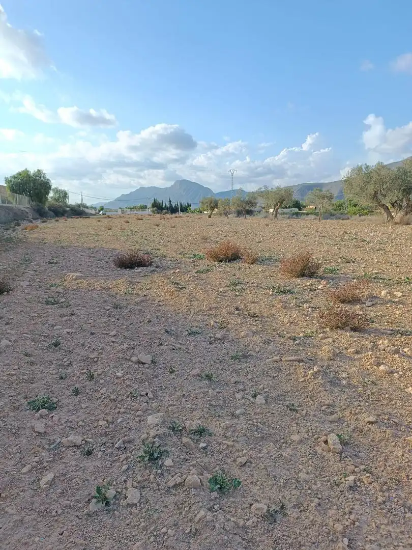 Nicht bebaubares Gelände zum Verkauf in Hondón de los Frailes