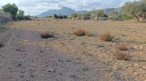 Non-constructible Land for sale in Partida Hondo, 19, Hondón de los Frailes, Alicante - image 4 Photo 4 of Non-constructible Land for sale in Partida Hondo, 19, Hondón de los Frailes, Alicante