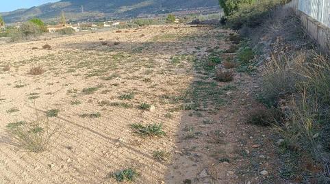 Non-constructible Land for sale in Partida Hondo, 19, Hondón de los Frailes, Alicante - image 3 Photo 3 of Non-constructible Land for sale in Partida Hondo, 19, Hondón de los Frailes, Alicante