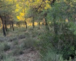 Non-constructible Land for sale in Aledo