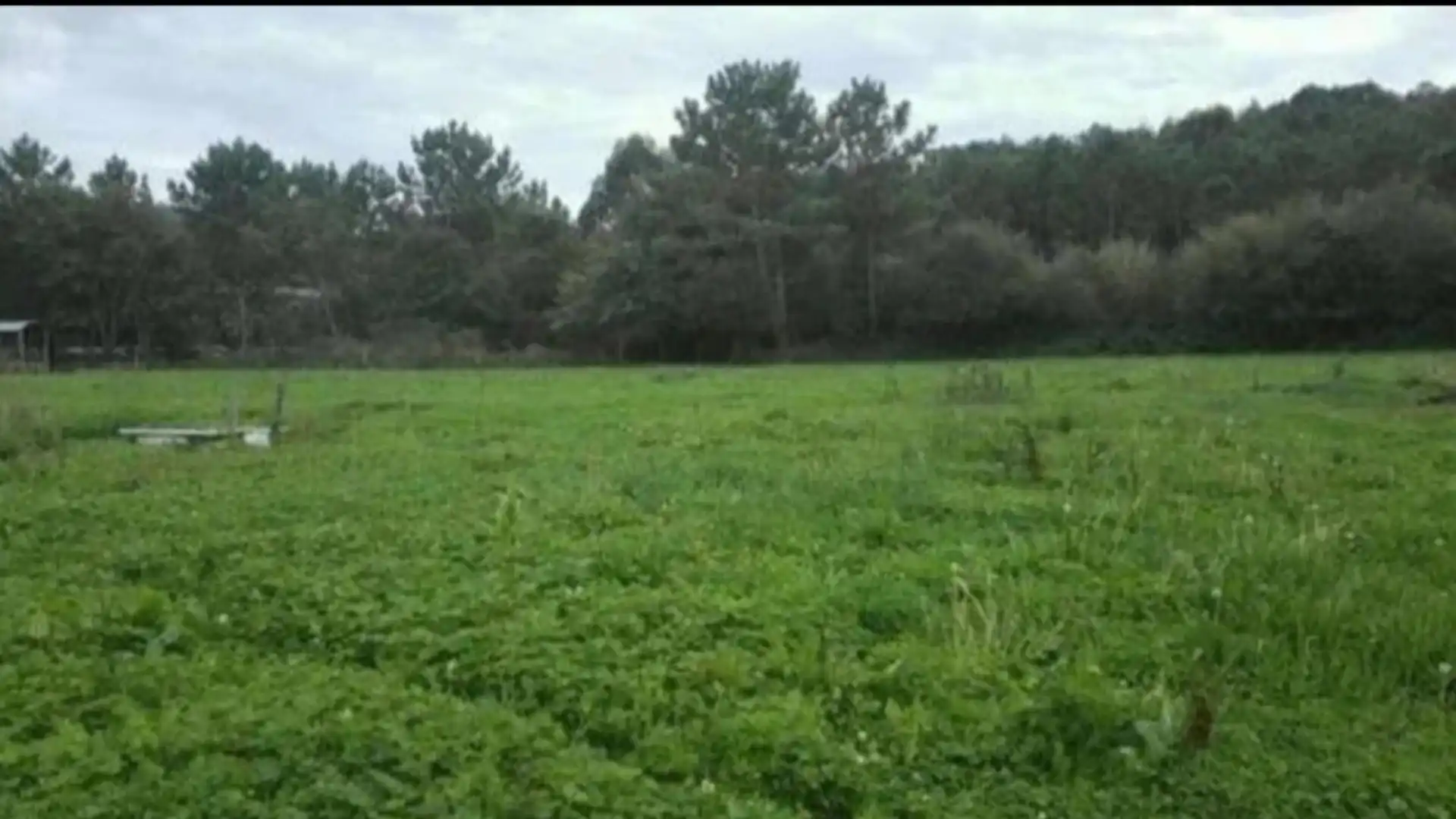 Finca rústica en venta en Cudillero