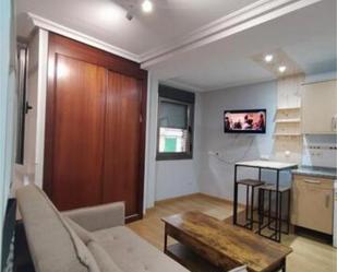 Sala d'estar de Estudi de lloguer en Mieres (Asturias) amb Calefacció, Traster i Moblat