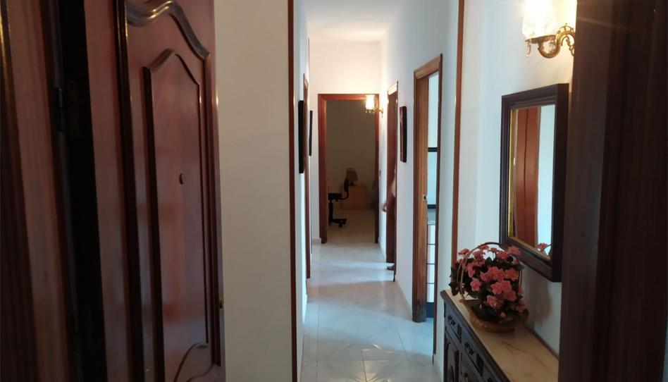 Photo 1 of Flat to share in Avenida de Pozo Ancho, 55, Arrayanes, Jaén