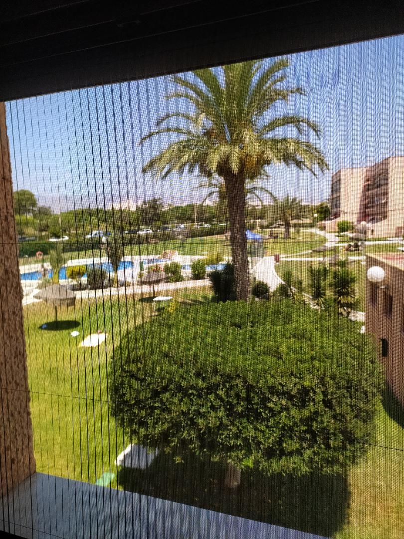 Jardí de Apartament de lloguer en  Almería Capital amb Aire condicionat, Calefacció i Jardí privat