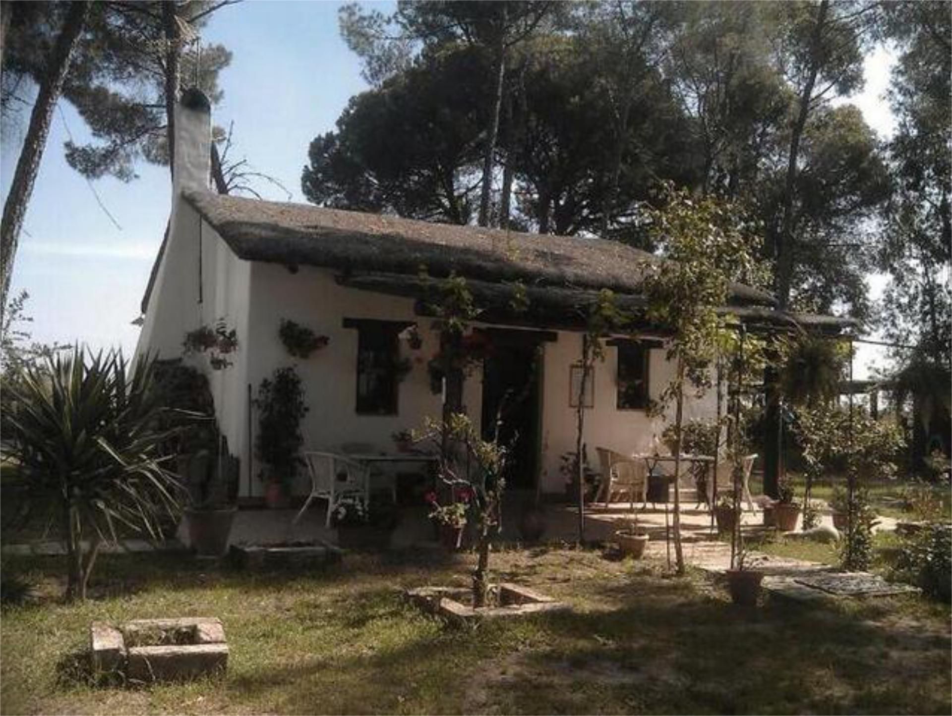 Jardí de Casa o xalet en venda en Almonte amb Jardí privat, Terrassa i Traster